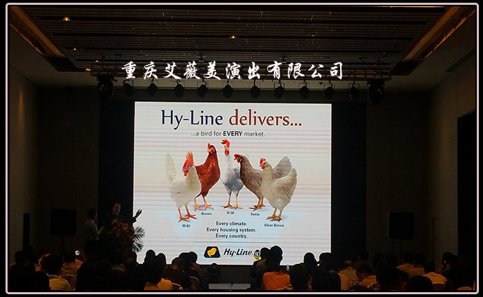 运达娱乐官方网站图片