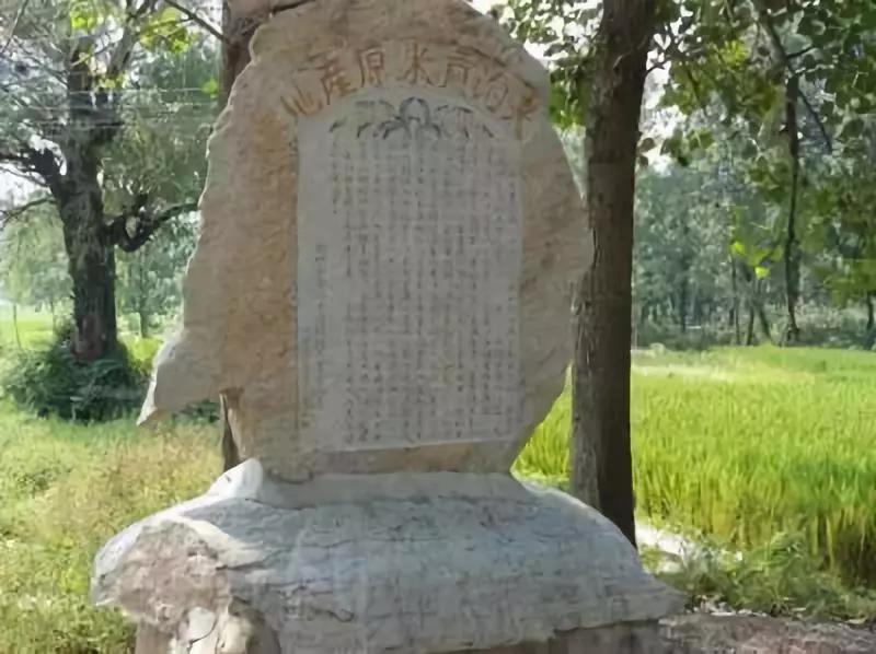 运达娱乐官方网站图片
