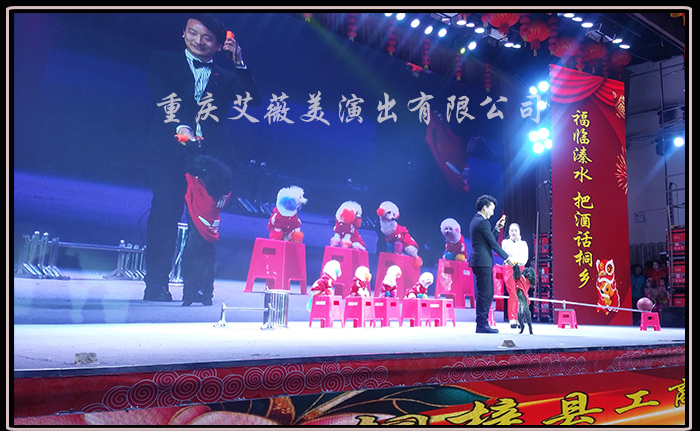 运达娱乐官方网站图片
